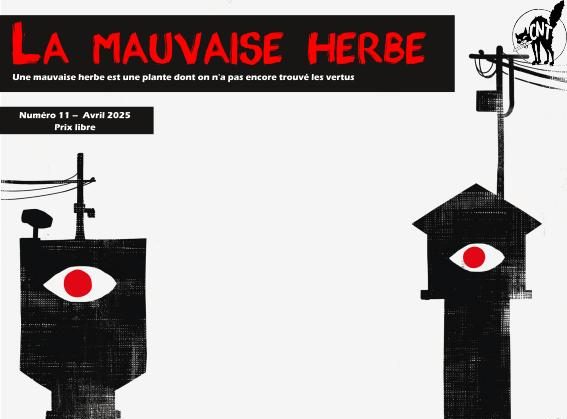 Une de LMH 11